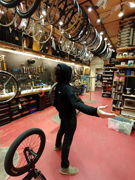 Belmar Bike Shop Picture 2