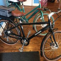 Pedego Electric Bikes Spring Lake ico