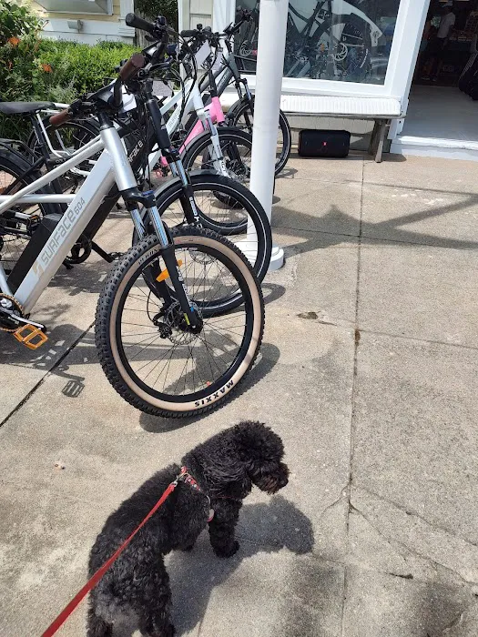 Bay Head Bikes Picture 2