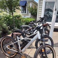 Bay Head Bikes ico
