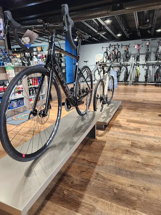 Marty's Reliable Cycle of East Hanover Picture 10
