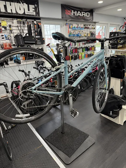 BIKELAND Picture 9