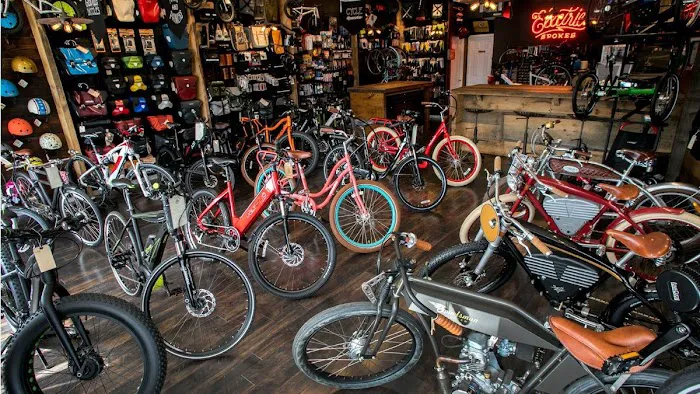 Voltaire Cycles Verona Picture 2