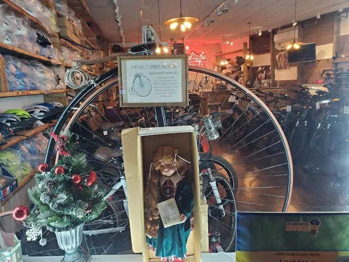 Voltaire Cycles Verona Picture 7