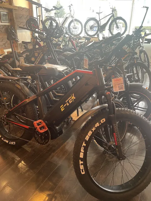 Voltaire Cycles Verona Picture 10