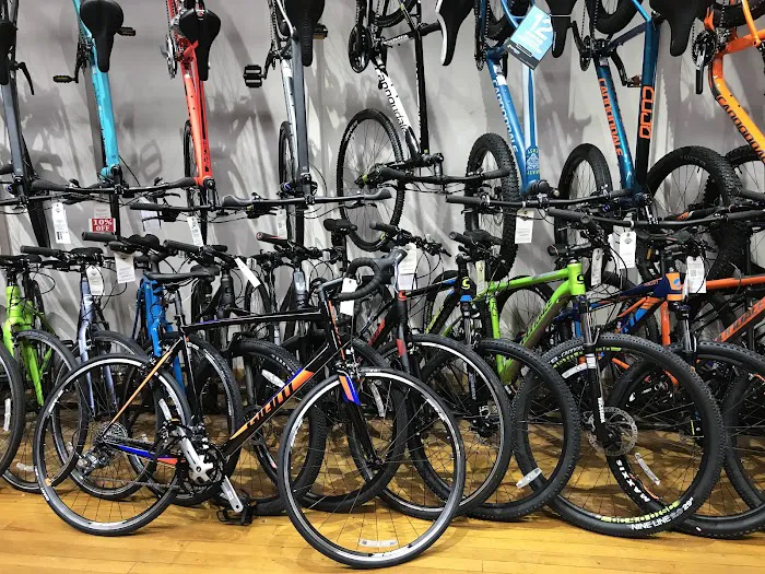 Diamond Cycle Montclair Picture 6