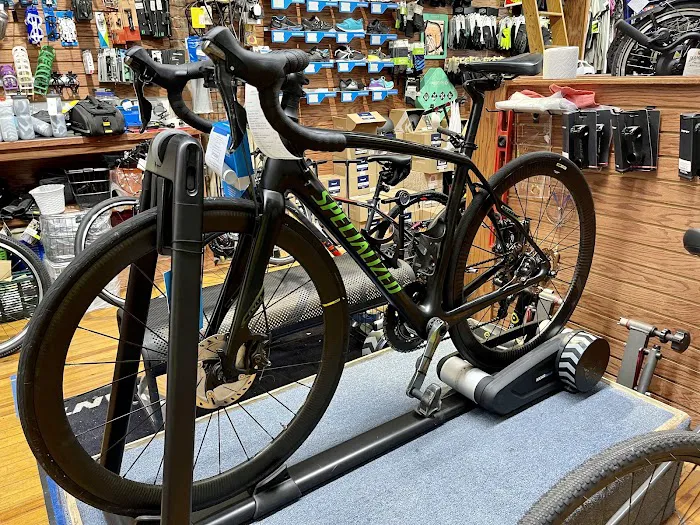 Diamond Cycle Montclair Picture 4