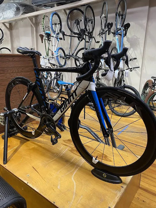 Diamond Cycle Montclair Picture 8