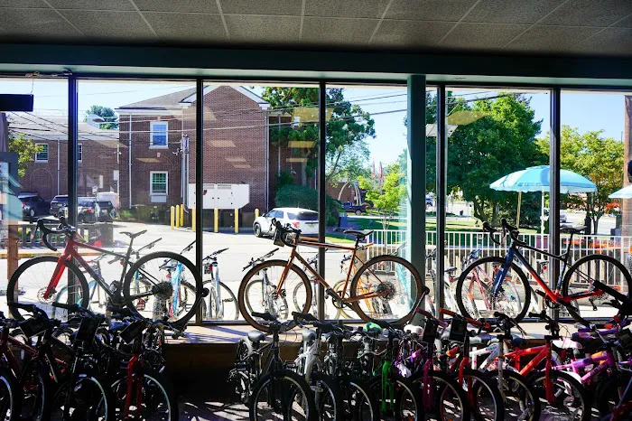 The Loose Wheel Bicycle Co. Picture 1