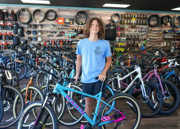 The Loose Wheel Bicycle Co. Picture 8