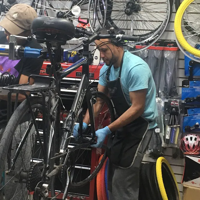 NYC Bicycle Shop Picture 10