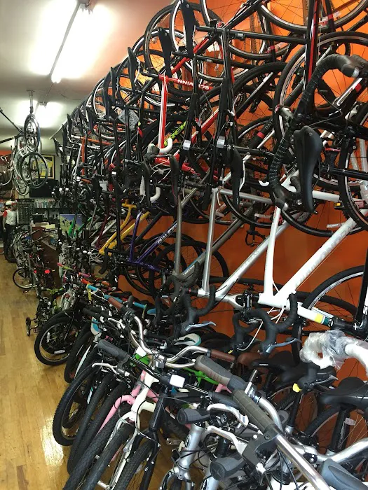 Verrazano Bicycle Shop Picture 7