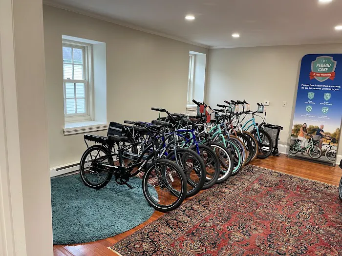 Pedego Electric Bikes Baltimore County Picture 3