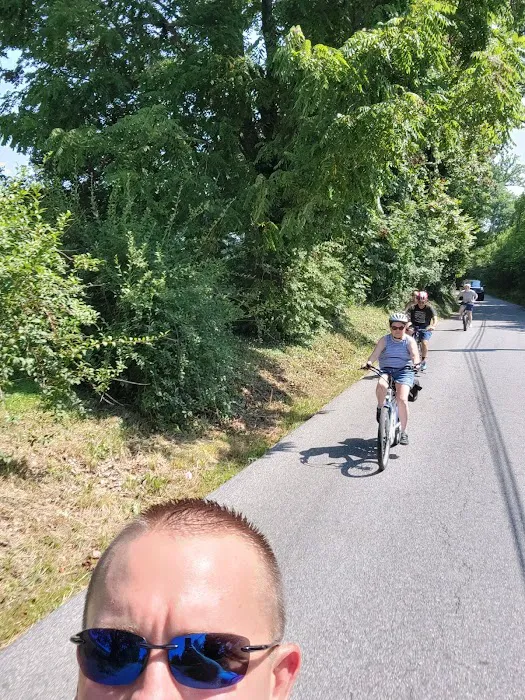 Pedego Electric Bikes Baltimore County Picture 5