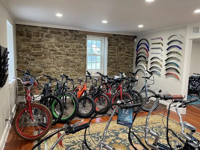 Pedego Electric Bikes Baltimore County Picture 7