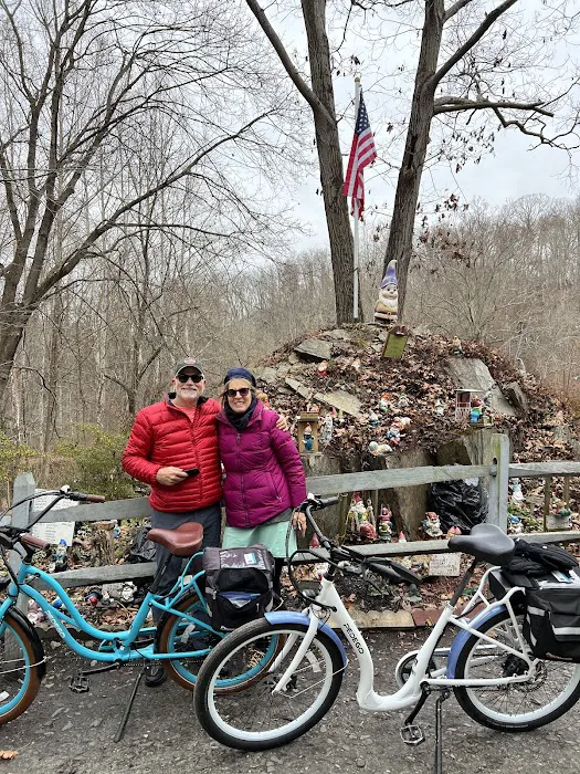 Pedego Electric Bikes Baltimore County Picture 9