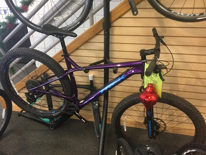 Bicycle Connection Picture 6