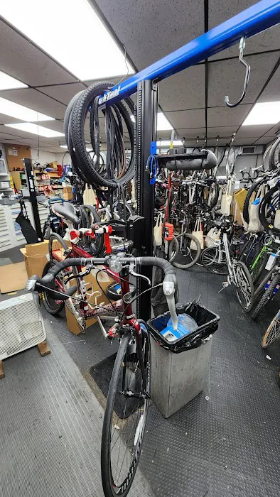 Bicycle Connection Picture 2