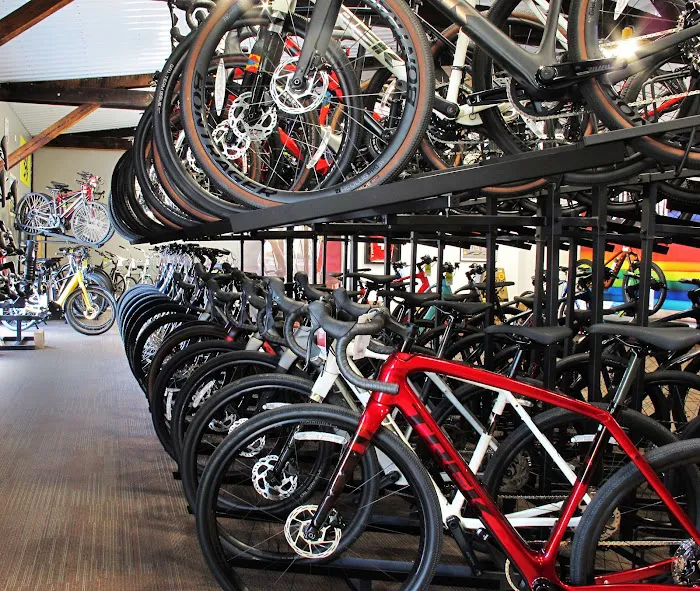 Trek Bicycle Westminster Picture 6