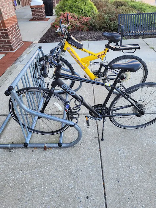 White's Bicycles Picture 2