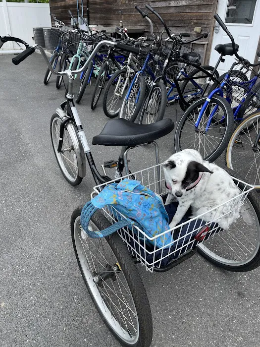 Village Bicycle Shop Picture 1
