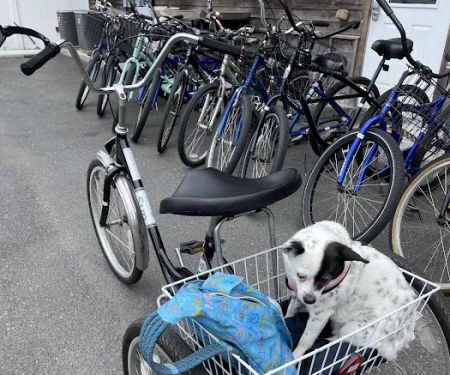 Village Bicycle Shop