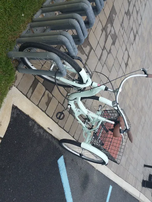 Village Bicycle Shop Picture 3