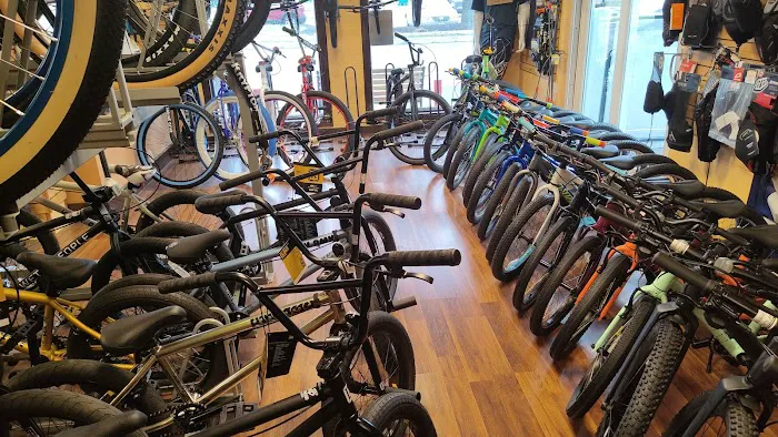 Beachwood Bicycles Picture 5