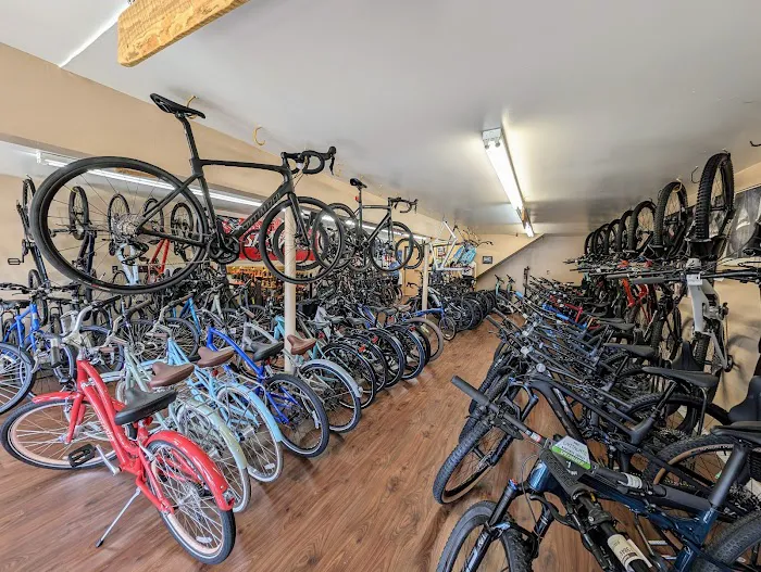 Beachwood Bicycles Picture 10