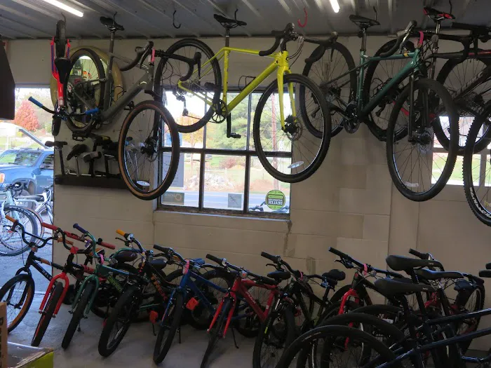 Merv's Bike Shop Picture 5