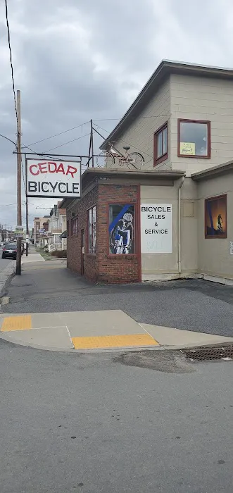Cedar Bicycle Picture 1