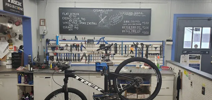 Cedar Bicycle Picture 2