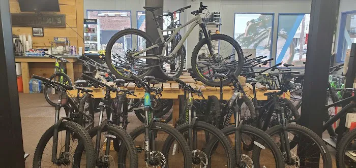 Cedar Bicycle Picture 4
