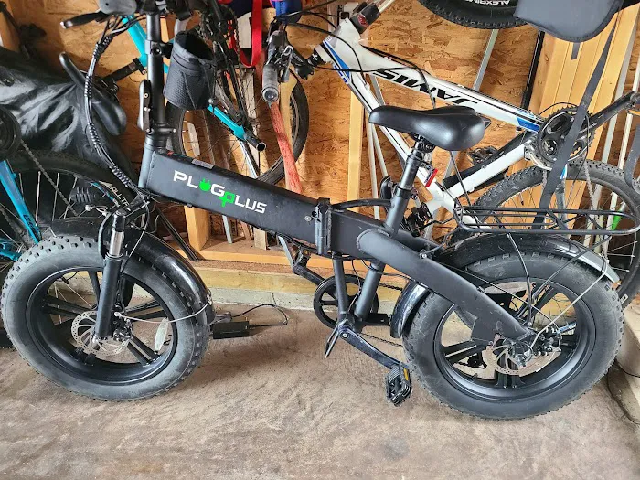 Gopowerbike Picture 4