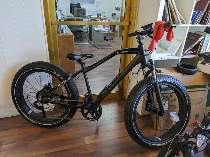 Gopowerbike Picture 1