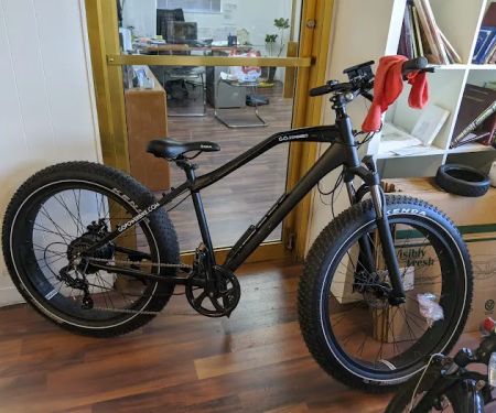Gopowerbike