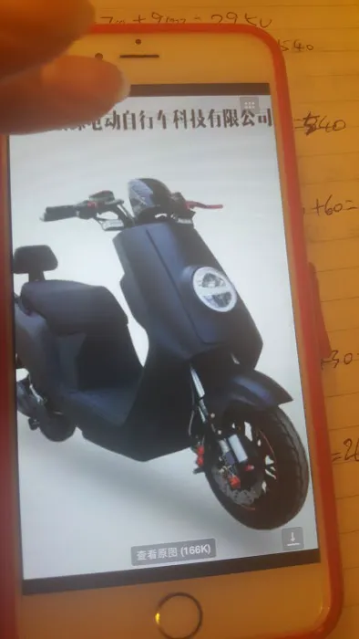 Sky E Bike Technology Inc Picture 9