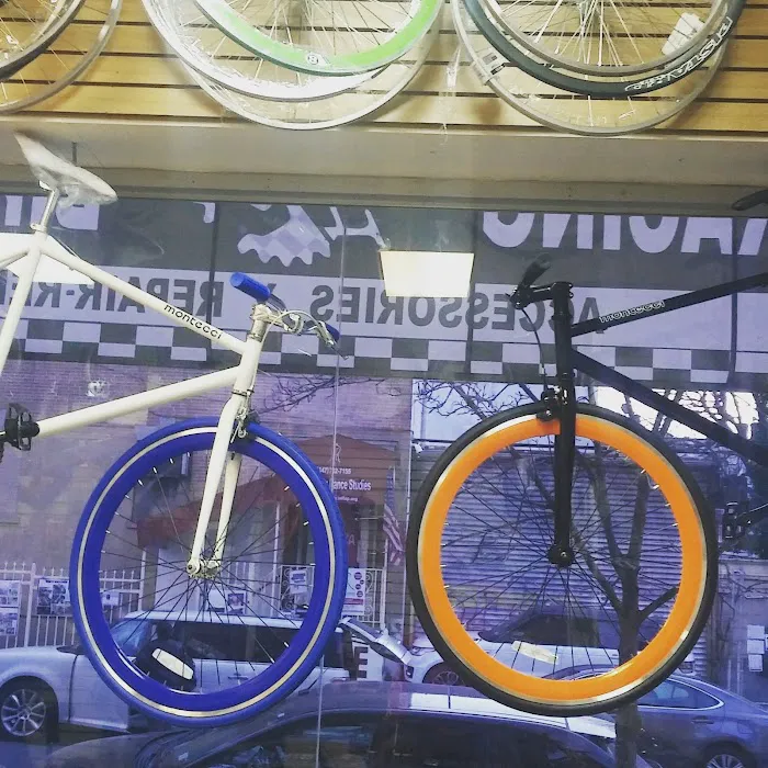 Bicycle Racing bike shop Picture 5