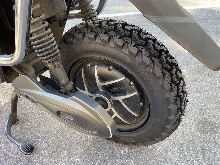 Wolf King E-Bike Picture 4