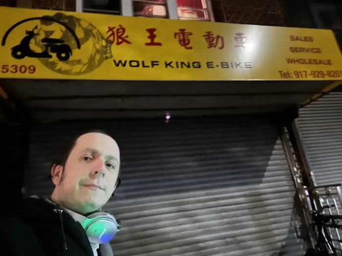 Wolf King E-Bike Picture 2