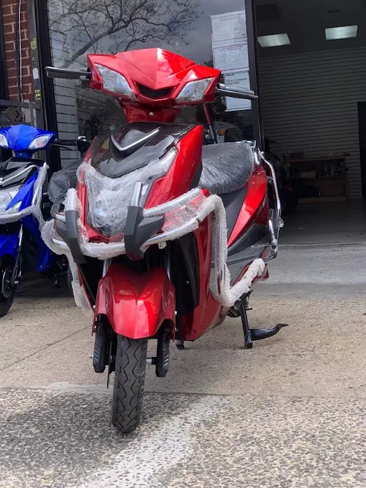 Wolf King E-Bike Picture 5