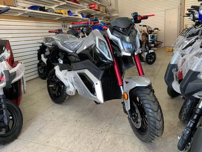 Wolf King E-Bike Picture 3