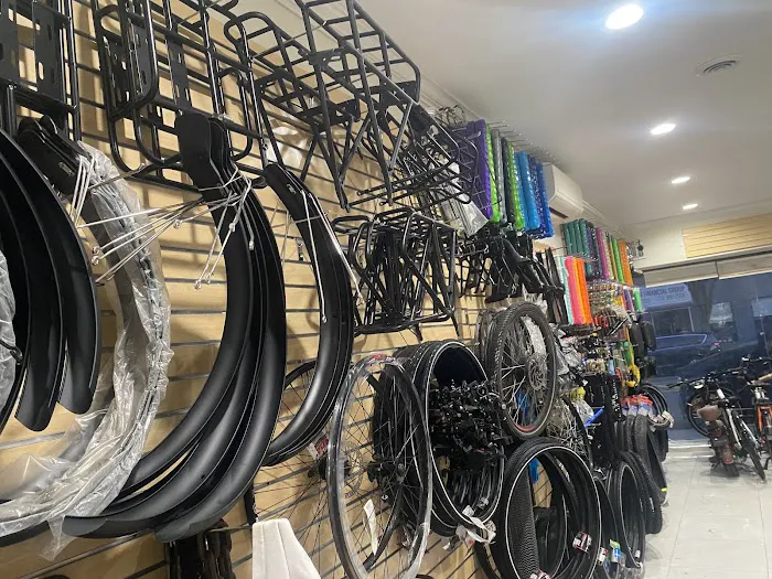 Mr Angel E-bikes lll Picture 5