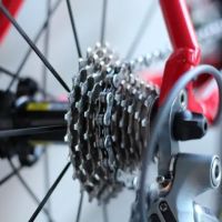Roy's Sheepshead Cycle ico
