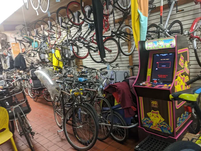 The Bike Shop, Court st Bikes Picture 2