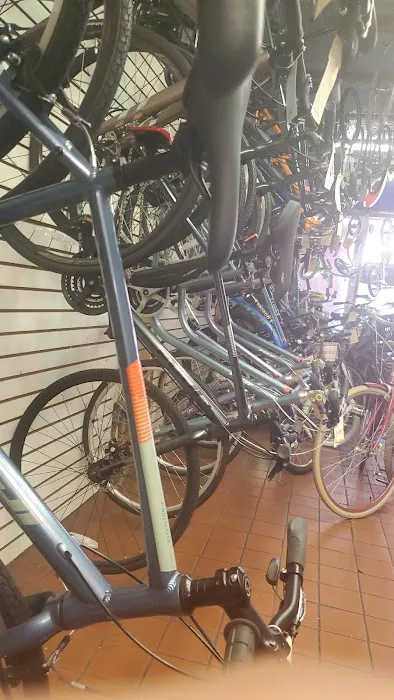The Bike Shop, Court st Bikes Picture 9