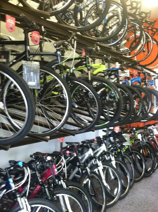 Sussex Bike & Sport Shop Picture 3