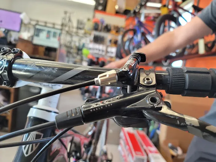 Sussex Bike & Sport Shop Picture 1