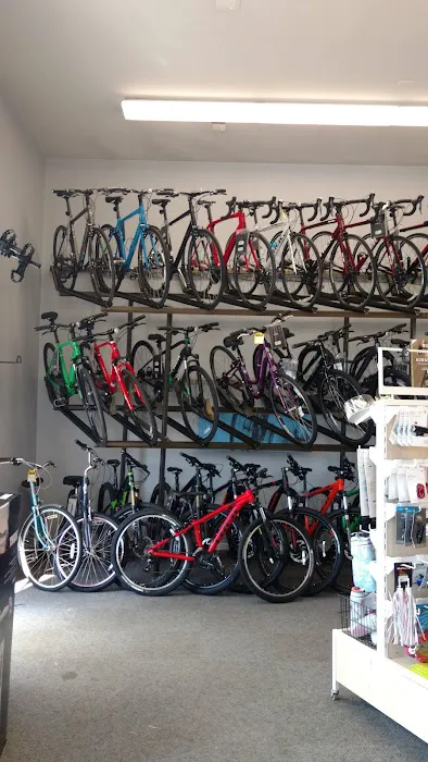 Sussex Bike & Sport Shop Picture 7