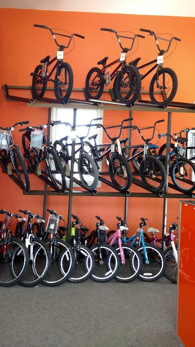 Sussex Bike & Sport Shop Picture 8